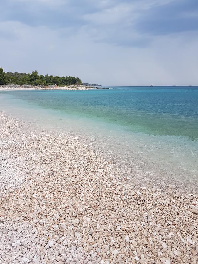 Apartments Dara روغوزنيكا المظهر الخارجي الصورة